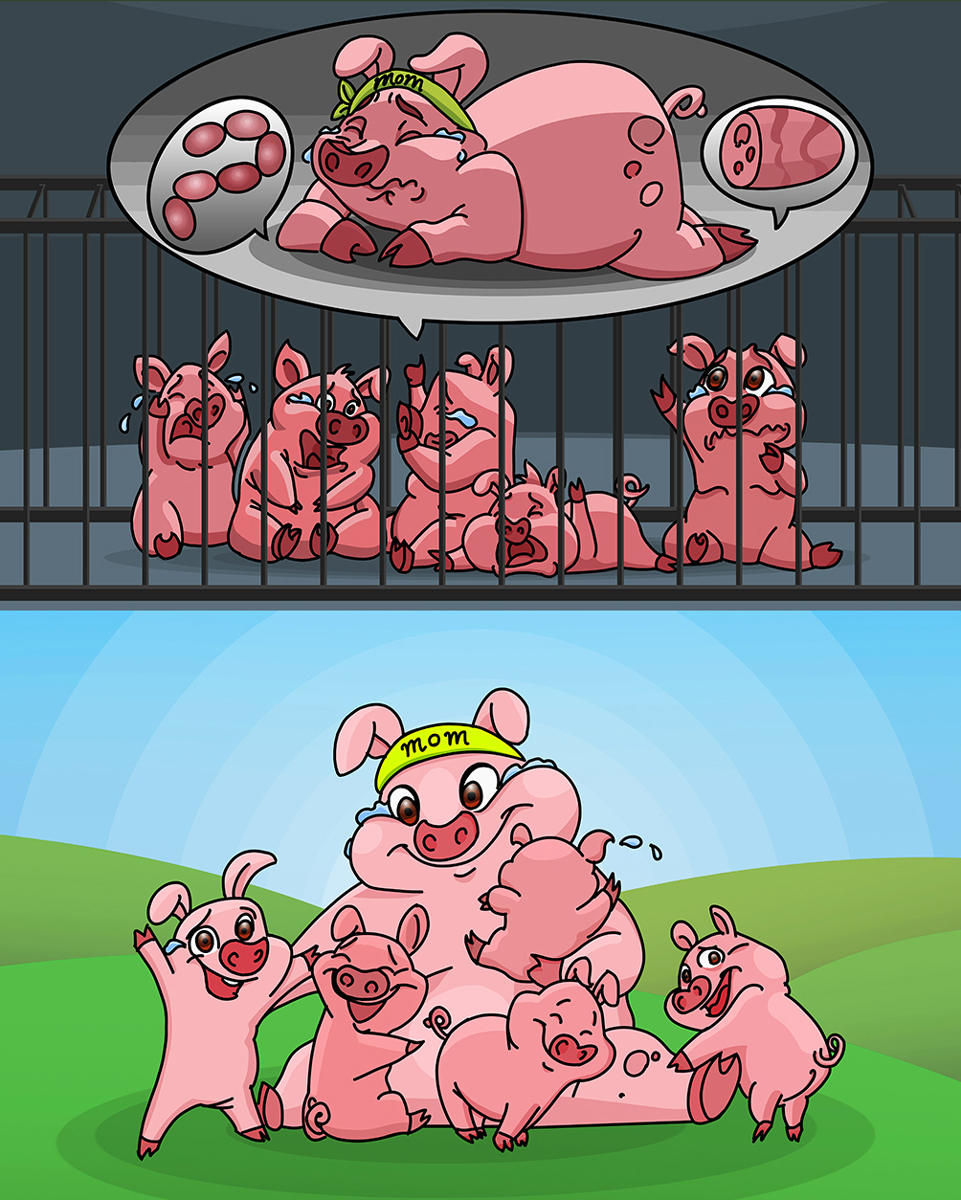 Baby Pigs Crying For Their Mother - Pig Character Design 2D Vector Illustration