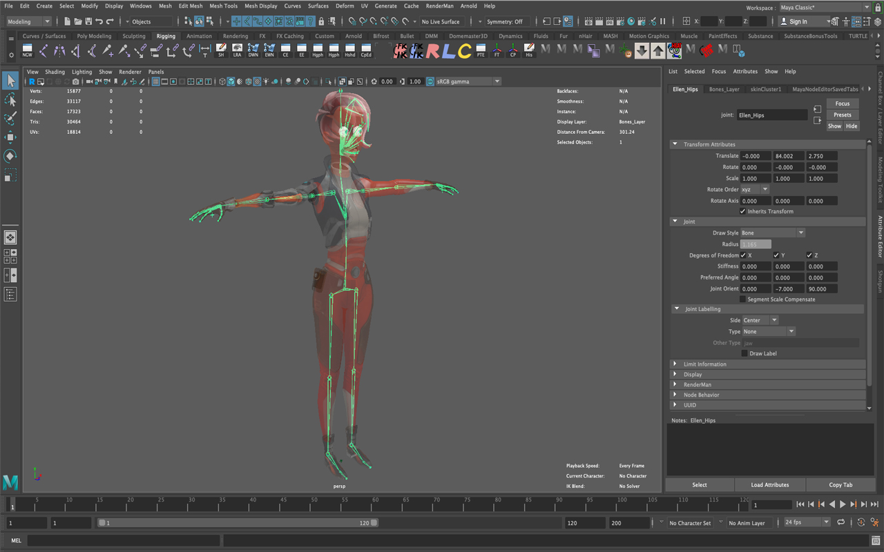 rigging in 3D animation