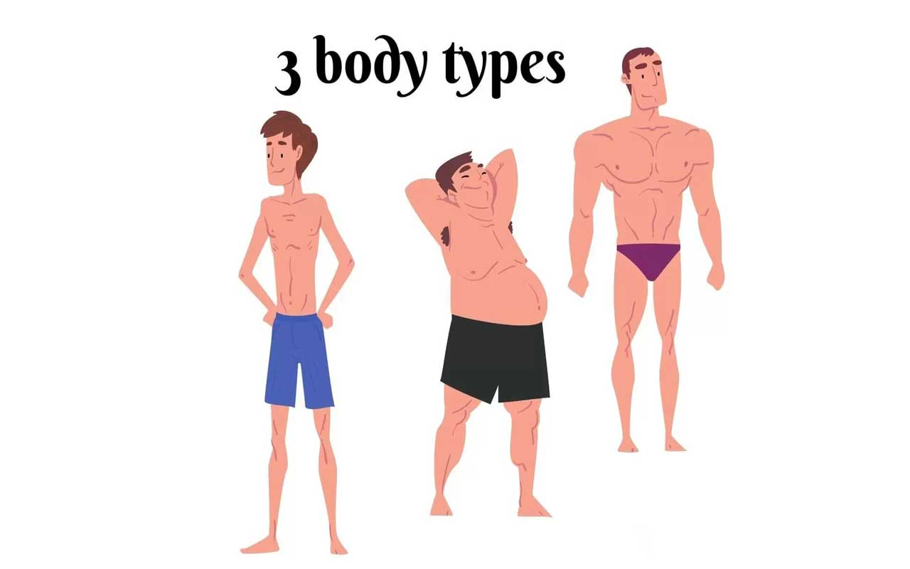 Body types based on human anatomy