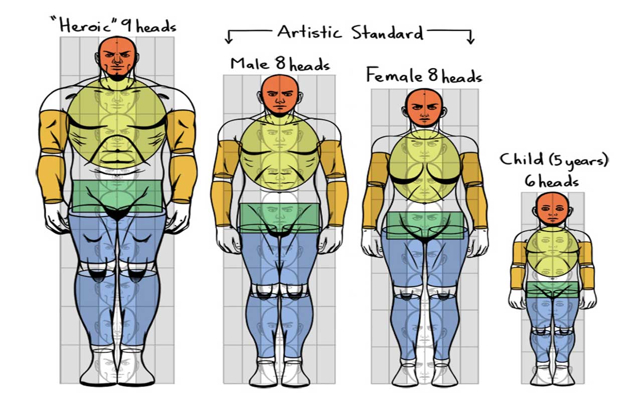 How to Design a Character Based on Human Anatomy
