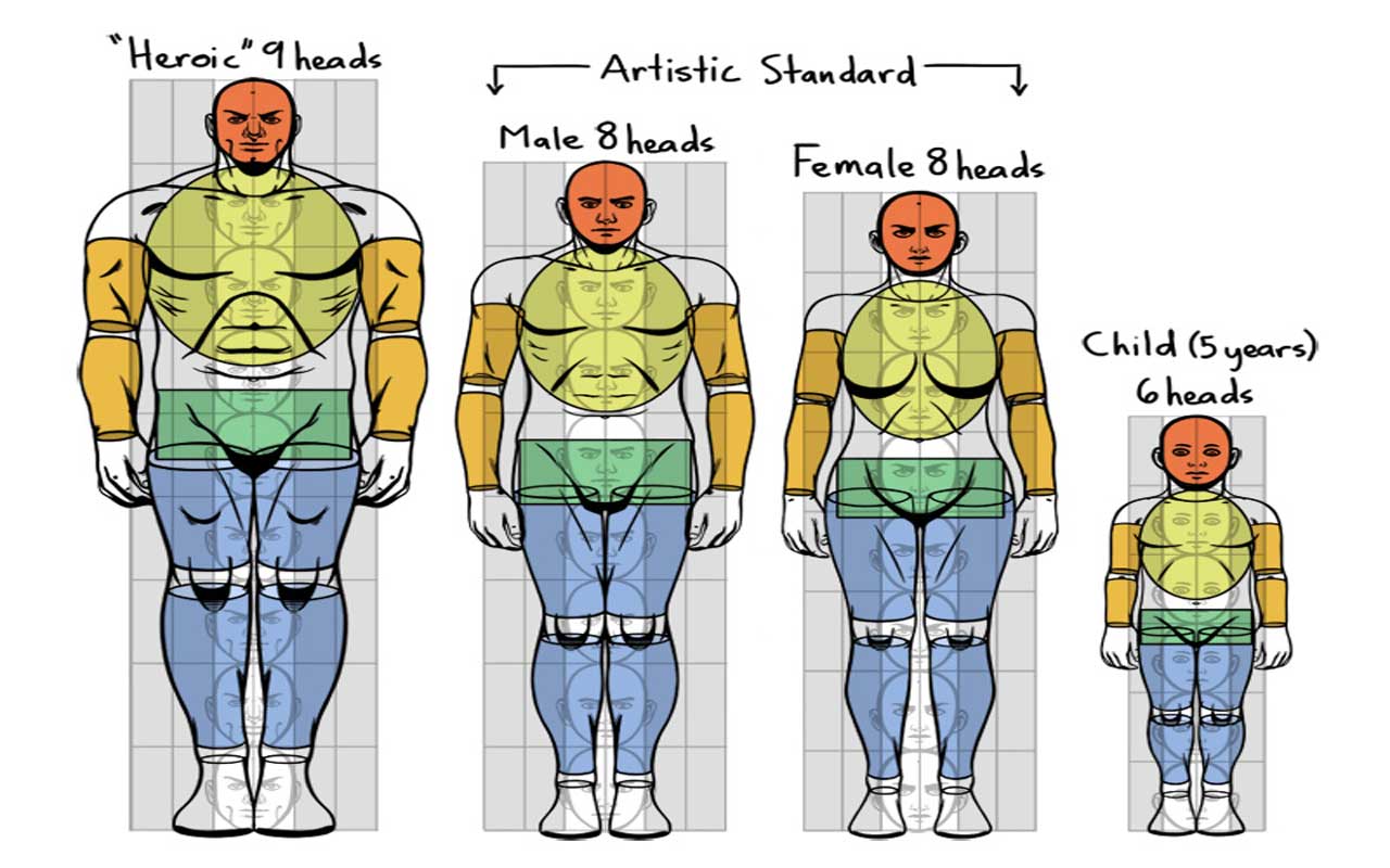 Character Anatomy