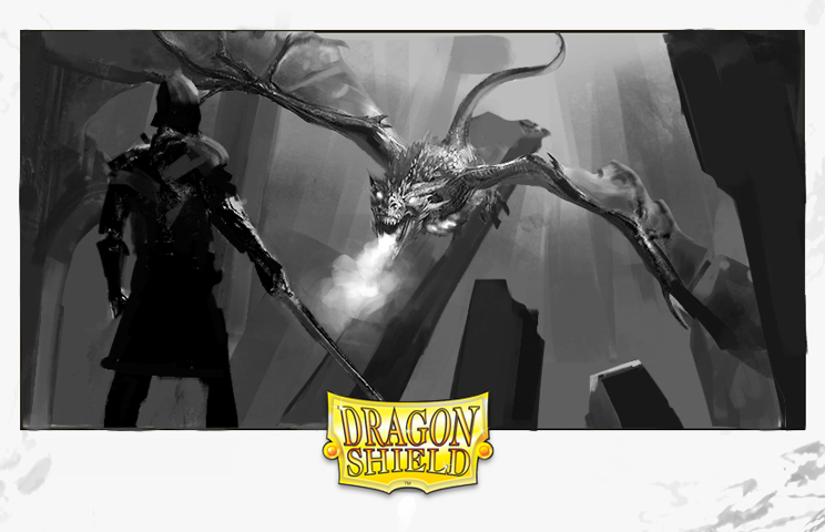 dragon shield storyboard