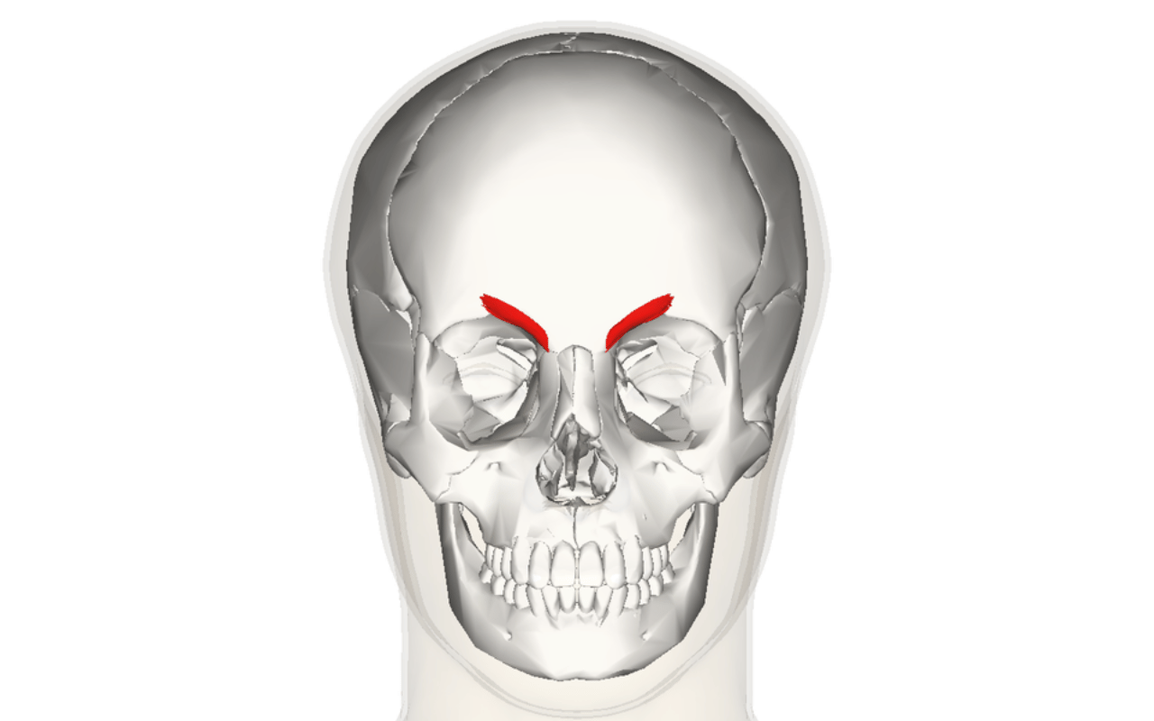 facial animation tips